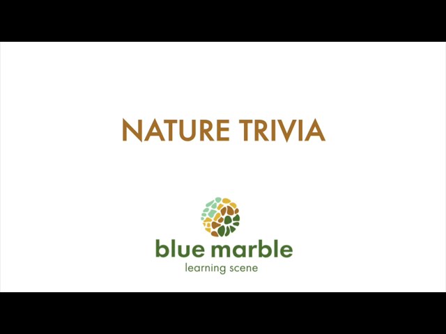 Nature Trivia | What is making this sound | blue marble