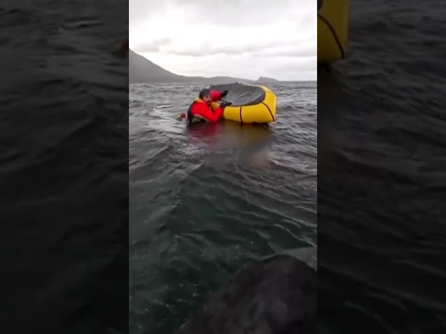 Humpback whale swallows kayaker off Chile before releasing him