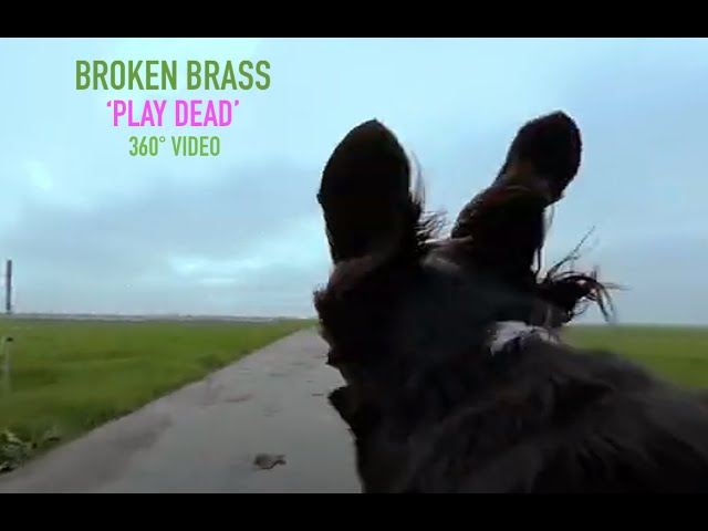 Broken Brass - 'Play Dead'  - 360° video (POV, day in the life of a dog experience!)