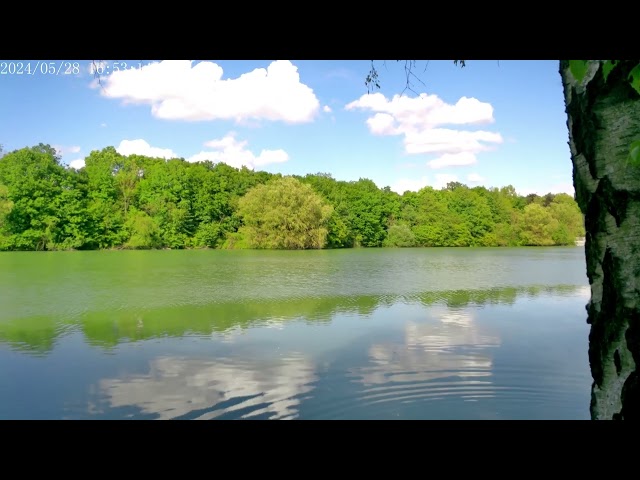 4K Relaxing with Nature Beckum Pheonix Park fast sleep music for Stress relief