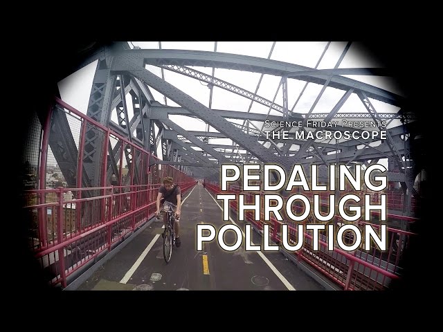 Pedaling Through Pollution