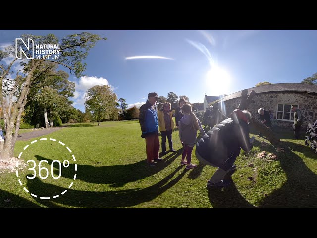 Follow a 360° family fungi foray | Natural History Museum