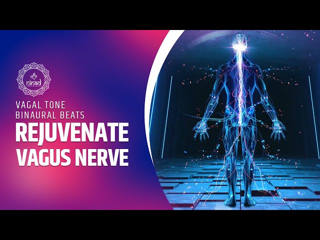 Rejuvenate Vagus Nerve for Serenity and Bliss | Vagal Tone Binaural Beats Meditation Music