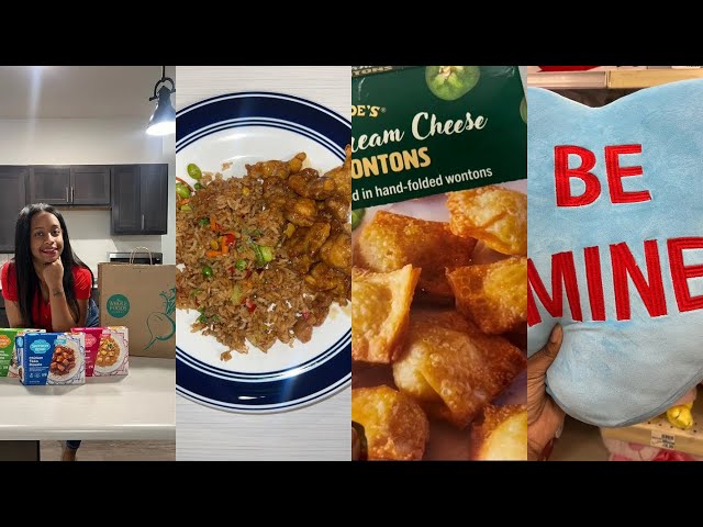 VLOG| Life Of A Foodie, New Brand Deal, Trader Joe’s Finds, Shopping At Publix