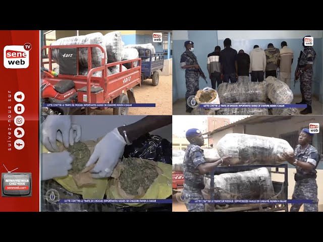 Trafic de drogue   La Gendarmerie saisit 860 kg de chanvre indien entre Thiès et Dakar