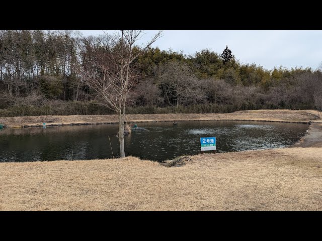 大物釣れるか？那須高原ルアーフィールド２号池【FishingLIVE】