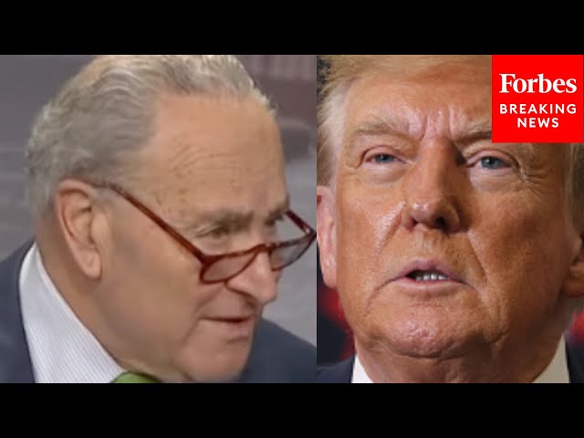 'This Is The National Level': Schumer Accuses Trump Of Breaking Promise On State-Level Abortion Laws