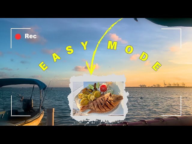 Easy Mode | Relax and Live the Moment | Travel Vlog Dominican Republic