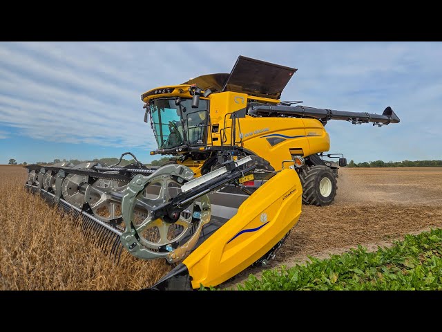 2025 New Holland CR8.90 and FD240