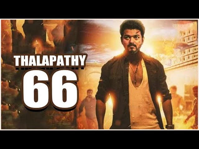 Thalapathy 66 Director || Vijay || TSL || #Nettv4u