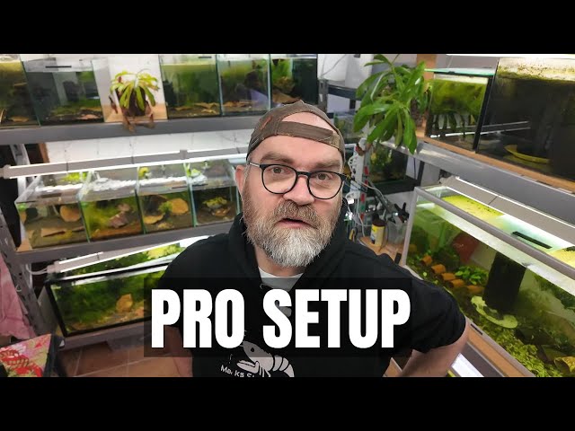 Big Plans & Shrimp Tank Setup 3. 1. 25