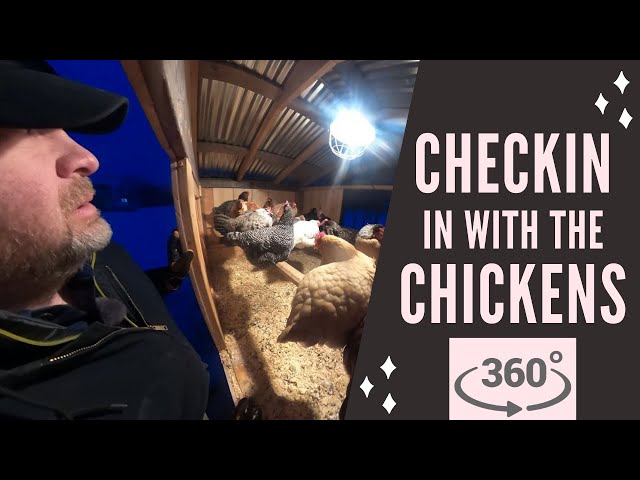 360° Winter Storm - Cow 'n Chicken Check