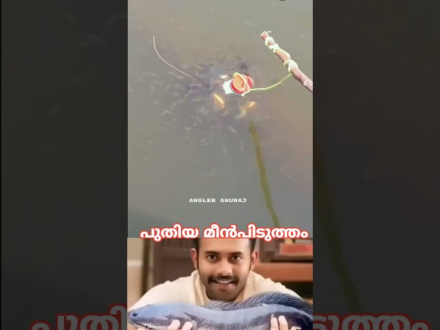 പുതിയ മീൻപിടുത്തം #fishingtechniques #shorts