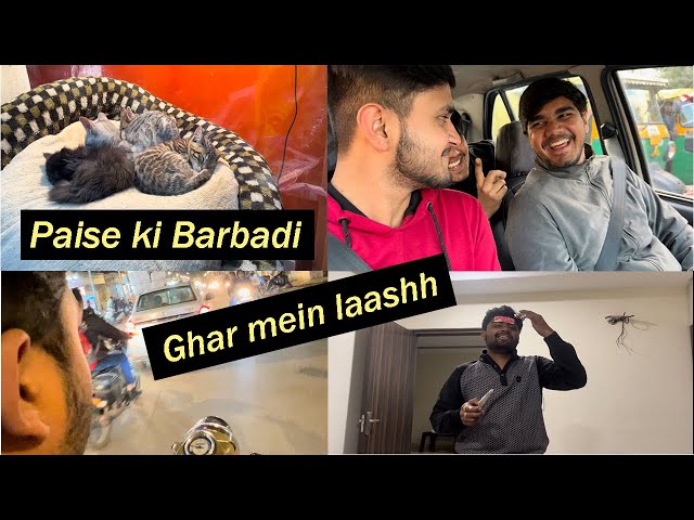 💸💸💸150000₹ for cat at Lakshit bhaiya's Birthday// Vlog #3 part 1 Partyy🥳 🥳 🥳 🥳