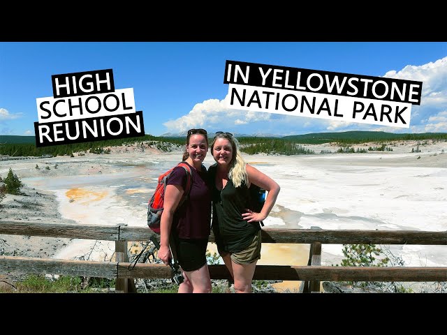 YELLOWSTONE CALDERA | wild swimming at Firehole River, Norris Geyser, cinnamon bear and Lower Falls