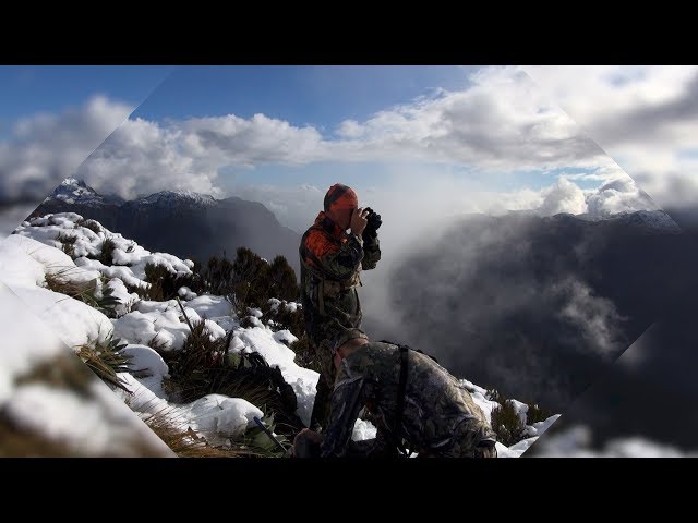 NZ Tahr Series