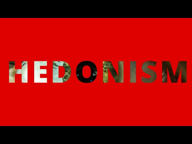 The Hedonistic Paradox | A Philosophy Worth Living? Seek pleasure, avoid Pain