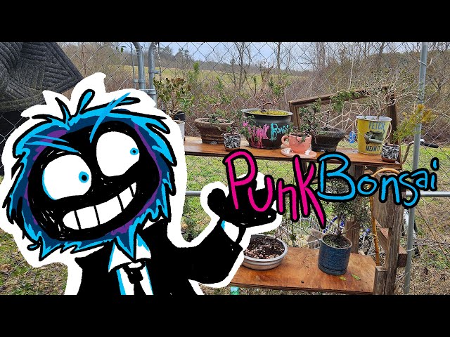 Punk Bonsai Episode00001 The REAL Beginning