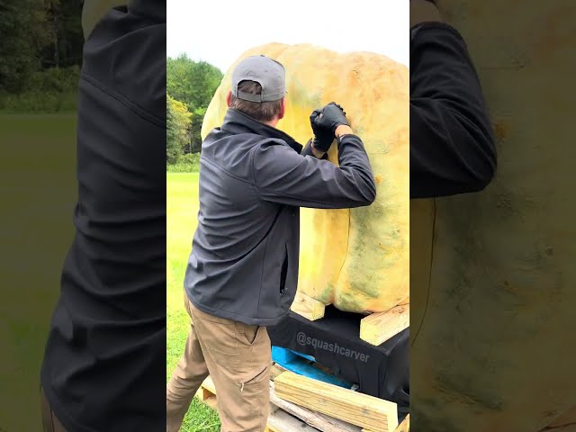 Cutting open @McMillinGiants 1,693-pound (767kg) giant pumpkin