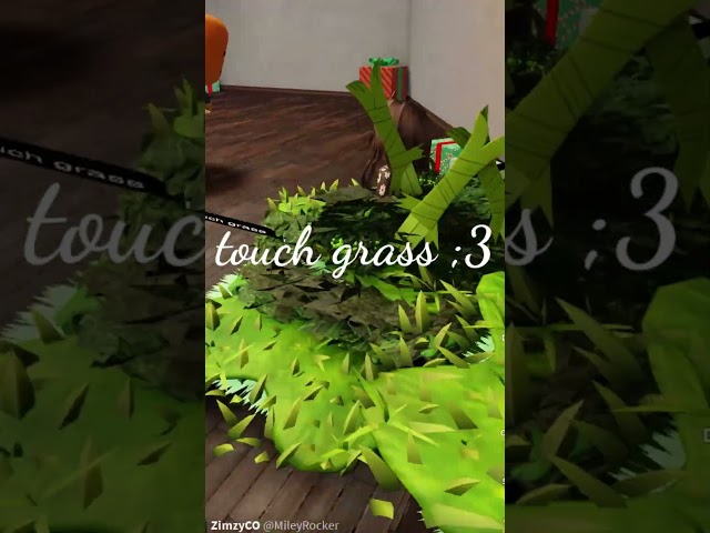 Touch Grass