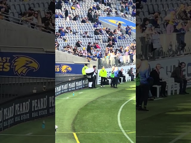 Hungry Jack’s Cafe Mascot: JC | AFL Round 18 2023: West Coast Eagles vs Richmond