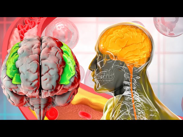 Immediate BRAIN Repair 🧠 Your Body Will Have Clear Changes, Full Body Massage (432Hz) #04061995