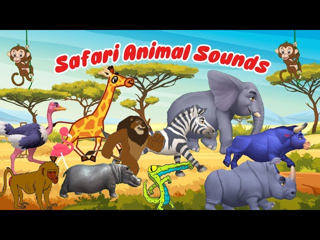 Safari Animal Sounds Song  + ABC  Safari Animals Song | Nursery Rhymes