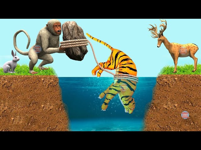 बुद्धिमान बंदर और बाघ | बंदर की कहानी Bandar Aur Baagh ki Kahani Monkey & Tiger Hindi Moral Stories