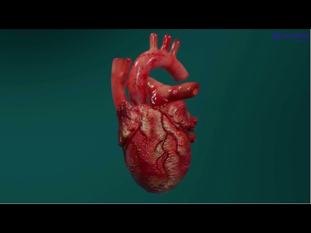 Heartbeat 3D VR