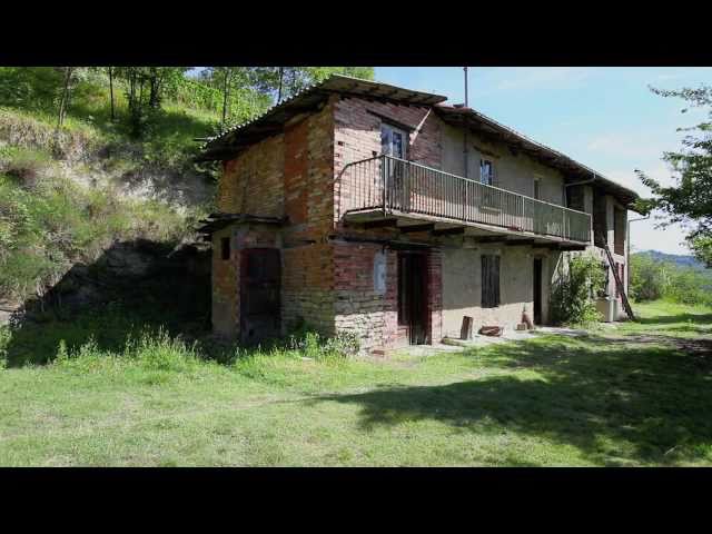 Italian farmhouse with vineyards for sale in Piemonte ( Piedmont)