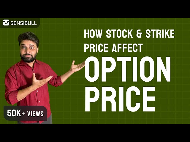 How Stock & Strike Price affect Option Price | How to trade Options E4