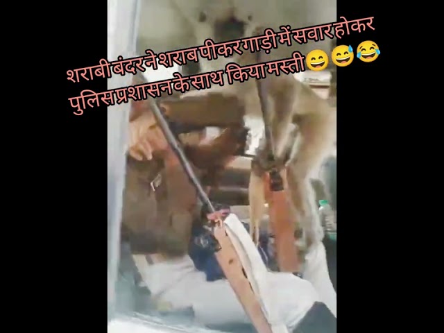 😁😄 शराब पीकर बंदर ने मस्ती किया पुलिस वालो से | #police #reels #shorts #ytshorts #funny #viral