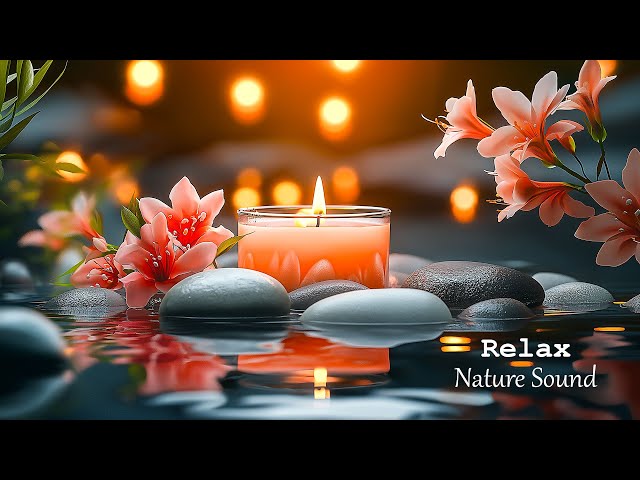 Relaxing Piano Music + Insomnia and Healing 🌿 Relaxing Music, Sleep Music, Meditation, Nature Sound