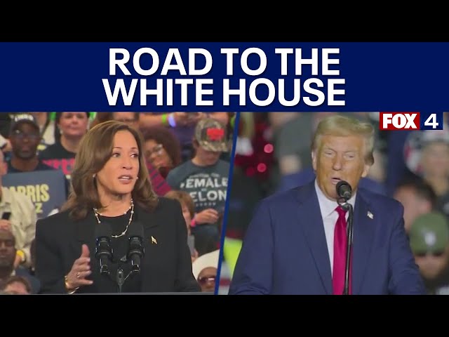 The path to victory for Donald Trump, Kamala Harris