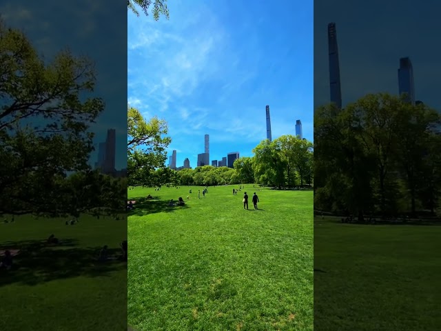 NEW YORK CENTRAL PARK 🌳 Walking in Midtown Manhattan, NYC, USA / Spring 2023 #4k