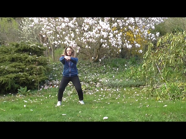 TAI CHI HUIT POTENTIELS CINQ DEPLACEMENTS