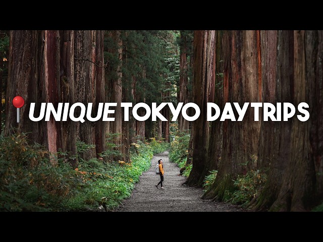 20 Unconventional Places Near Tokyo You've Never Heard Of - Public Transport Accessible!