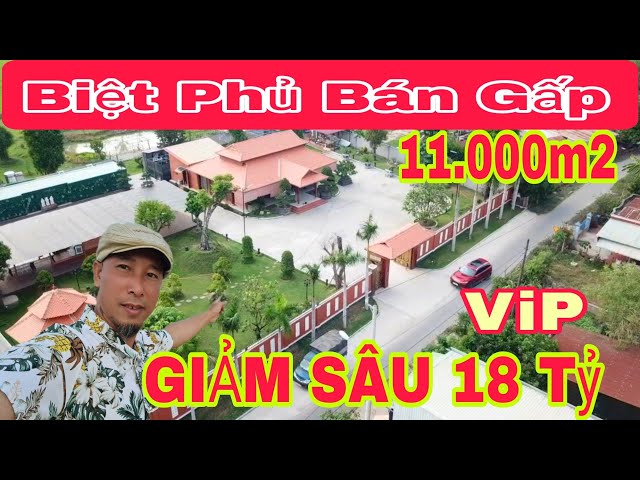 🛑Bất động sản Củ Chi | Bán gấp biệt phủ nhà gỗ + HỒ BƠI + Homestay KHU NGHỈ DƯỠNG | Nhà Đất Đẹp