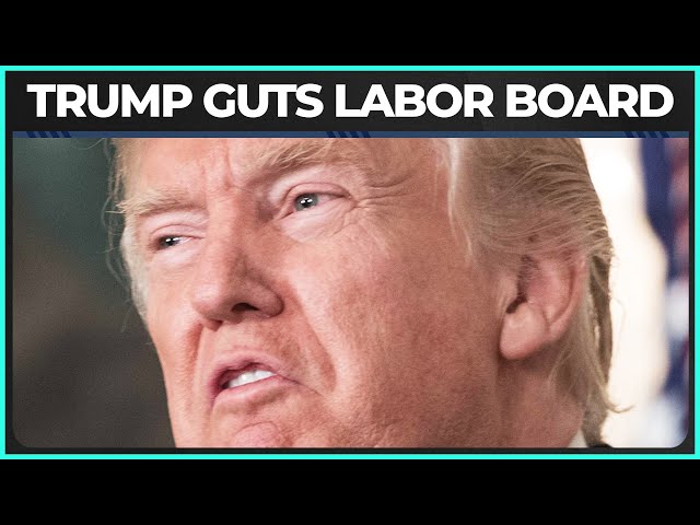 Trump GUTS The NLRB