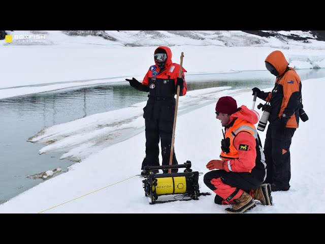 Inspection with the Boxfish ROV