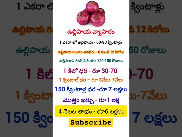 ఉల్లిపాయ వ్యాపారం #business #tips #telugu #shortvideo #shorts #trending #ytshorts #like #onion#money