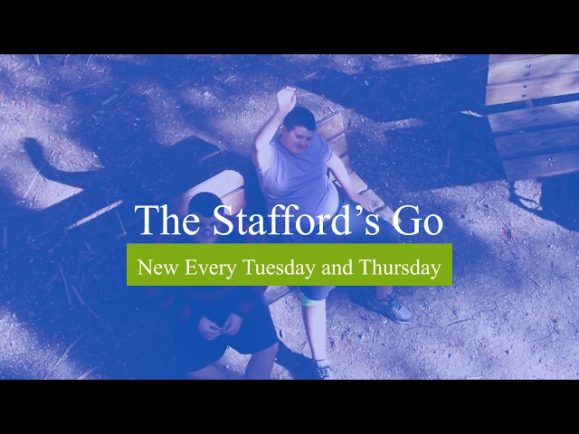 The Stafford's Go Trailer - What our Vlog is all about