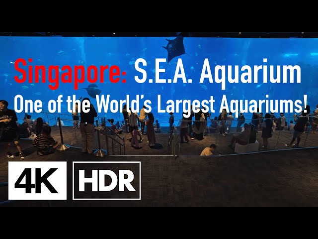 SEA Aquarium: One of the Largest Aquariums in the World! | Singapore | 4K HDR