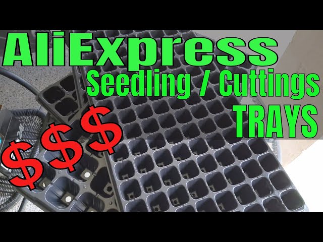 Make money selling plants - making money growing and selling plants from home!