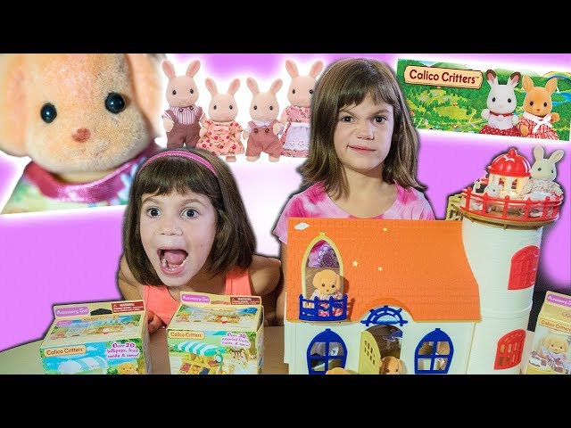 Crazy Twins Unbox and Review NEW CALICO CRITTERS toy!