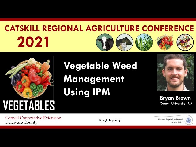 Vegetable Weed Management Using IPM