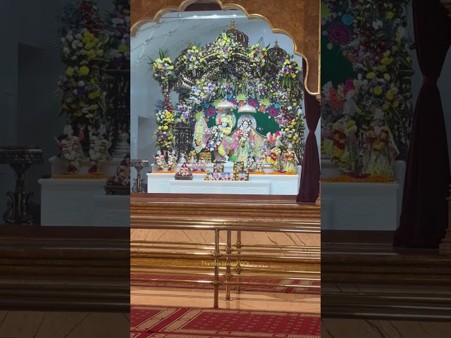 Jinki Pratima itni sundar wo kitna sundar hoga #song #premanand #vrindavan #radha #krishna