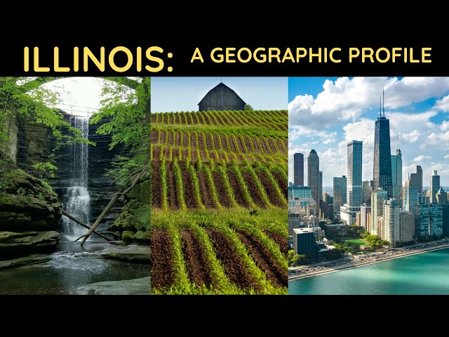 Illinois: State Profile