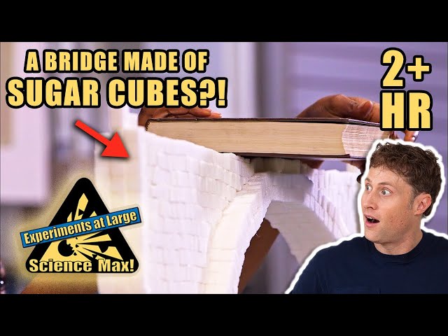 CRAZY EXPERIMENTS | Building a Sugar Cube Bridge | Full Episodes | Science Max