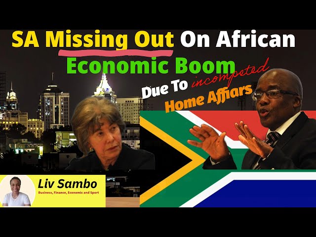 Shocking Truth: Home Affairs Minister Dr Aaron Motsoaledi Failing South Africa Economy, Immigration